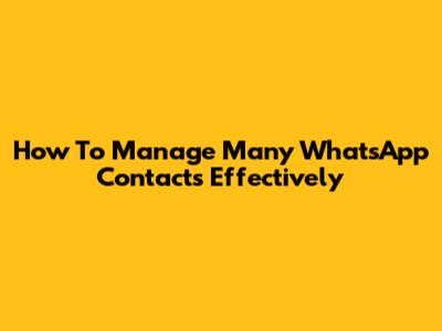 How To Manage Many WhatsApp Contacts Effectively