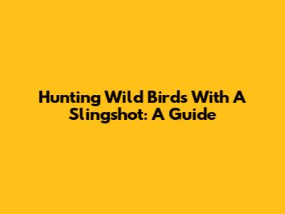 Hunting Wild Birds With A Slingshot: A Guide