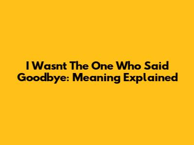 I Wasn't The One Who Said Goodbye: Meaning Explained