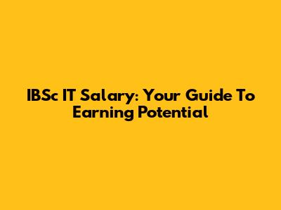 IBSc IT Salary: Your Guide To Earning Potential