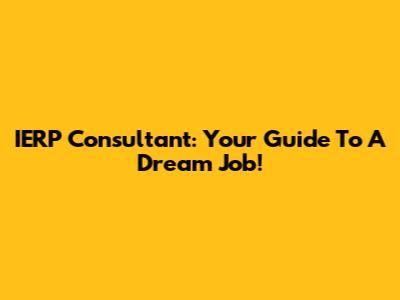 IERP Consultant: Your Guide To A Dream Job!