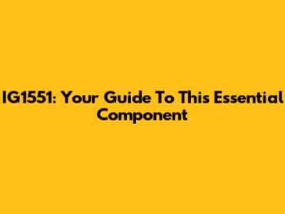 IG1551: Your Guide To This Essential Component