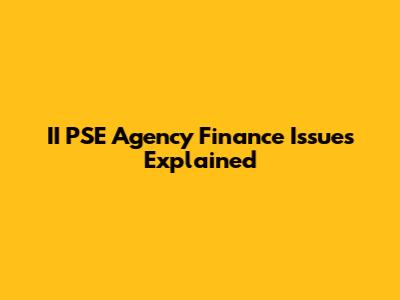 II PSE Agency Finance Issues Explained