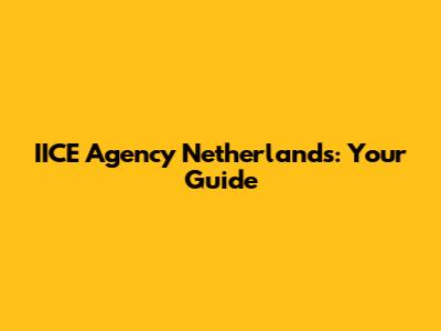 IICE Agency Netherlands: Your Guide