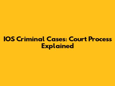 IOS Criminal Cases: Court Process Explained