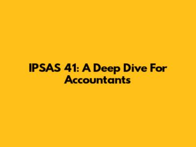 IPSAS 41: A Deep Dive For Accountants