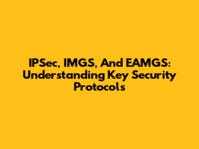 IPSec, IMGS, And EAMGS: Understanding Key Security Protocols