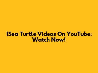 ISea Turtle Videos On YouTube: Watch Now!