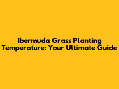 Ibermuda Grass Planting Temperature: Your Ultimate Guide