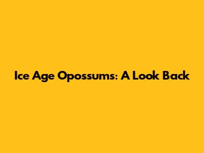 Ice Age Opossums: A Look Back