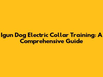 Igun Dog Electric Collar Training: A Comprehensive Guide