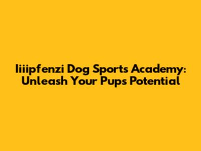 Iiiipfenzi Dog Sports Academy: Unleash Your Pup's Potential