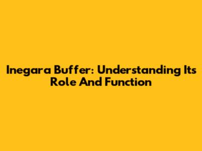 Inegara Buffer: Understanding Its Role And Function