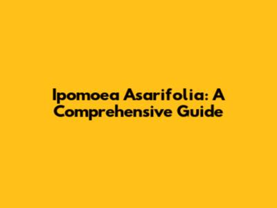 Ipomoea Asarifolia: A Comprehensive Guide