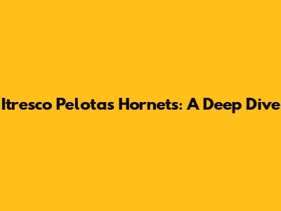 Itresco Pelotas Hornets: A Deep Dive