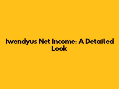 Iwendyu's Net Income: A Detailed Look