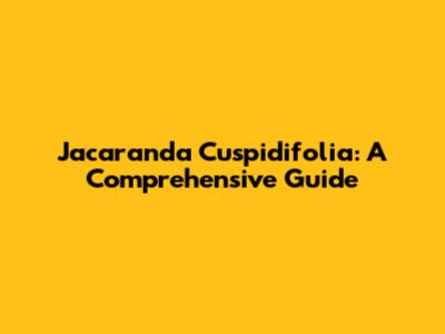Jacaranda Cuspidifolia: A Comprehensive Guide