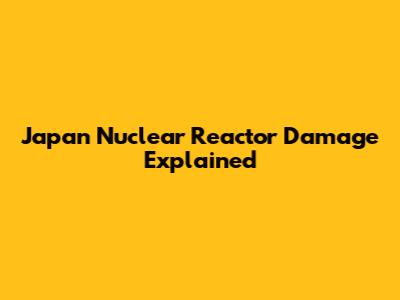 Japan Nuclear Reactor Damage Explained