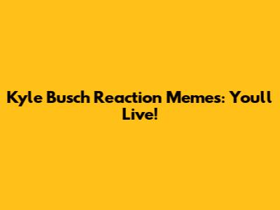 Kyle Busch Reaction Memes: You'll Live!
