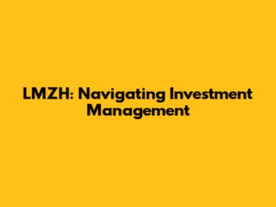LMZH: Navigating Investment Management