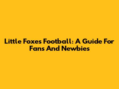 Little Foxes Football: A Guide For Fans And Newbies