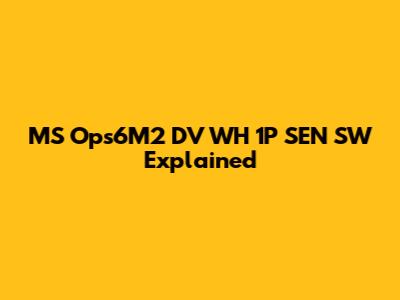MS Ops6M2 DV WH 1P SEN SW Explained