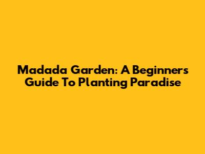 Madada Garden: A Beginner's Guide To Planting Paradise