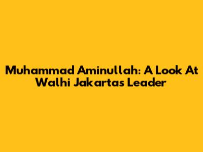 Muhammad Aminullah: A Look At Walhi Jakarta's Leader