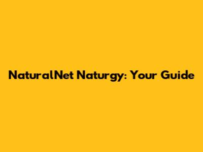 NaturalNet Naturgy: Your Guide