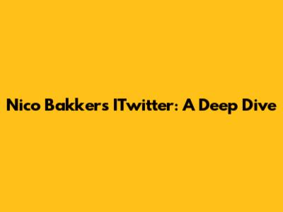 Nico Bakker's ITwitter: A Deep Dive