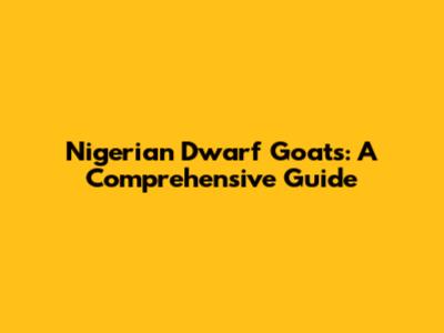 Nigerian Dwarf Goats: A Comprehensive Guide