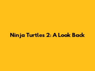 Ninja Turtles 2: A Look Back
