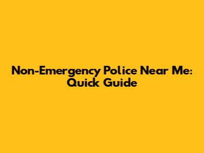 Non-Emergency Police Near Me: Quick Guide