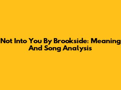 Not Into You By Brookside: Meaning And Song Analysis