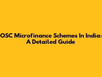 OSC Microfinance Schemes In India: A Detailed Guide