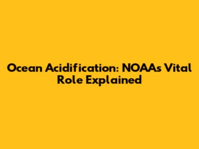 Ocean Acidification: NOAA's Vital Role Explained