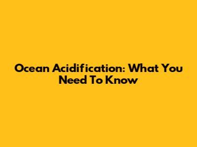 Ocean Acidification: What You Need To Know