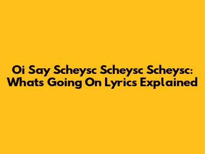 Oi Say Scheysc Scheysc Scheysc: What's Going On Lyrics Explained