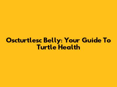 Oscturtlesc Belly: Your Guide To Turtle Health