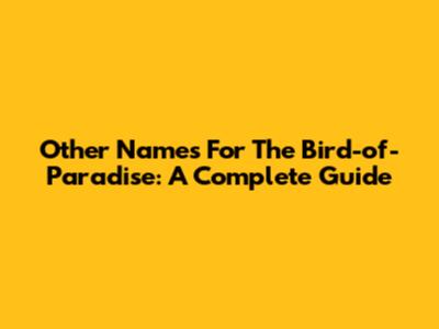 Other Names For The Bird-of-Paradise: A Complete Guide