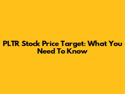 PLTR Stock Price Target: What You Need To Know