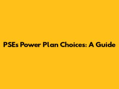 PSE's Power Plan Choices: A Guide