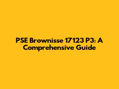 PSE Brownisse 17123 P3: A Comprehensive Guide