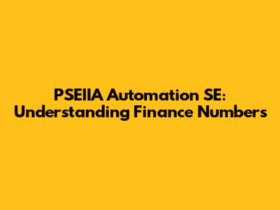 PSEIIA Automation SE: Understanding Finance Numbers
