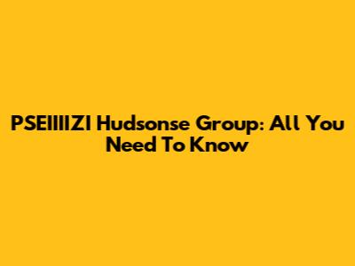 PSEIIIIZI Hudsonse Group: All You Need To Know