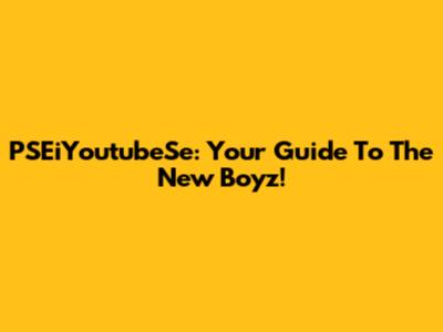 PSEiYoutubeSe: Your Guide To The New Boyz!