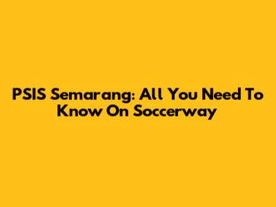 PSIS Semarang: All You Need To Know On Soccerway