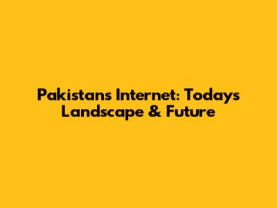 Pakistan's Internet: Today's Landscape & Future