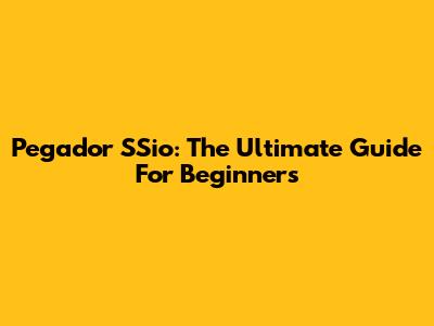 Pegador SSio: The Ultimate Guide For Beginners