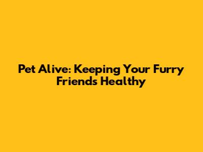 Pet Alive: Keeping Your Furry Friends Healthy